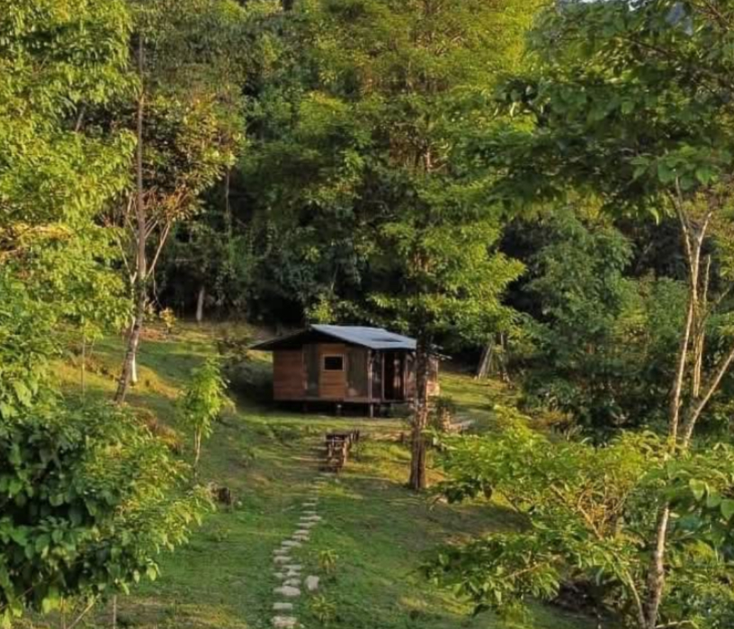 Vive la ruta del cacao en Viotá: una experiencia sensorial y cultural