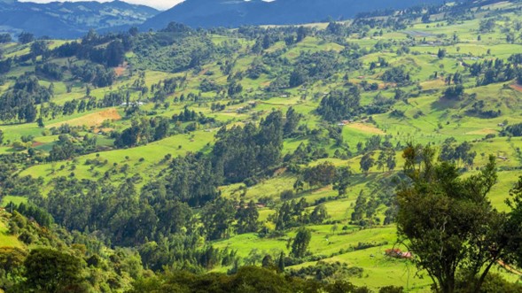 Bogotá se prepara para el Primer Encuentro Nacional por la Orinoquía