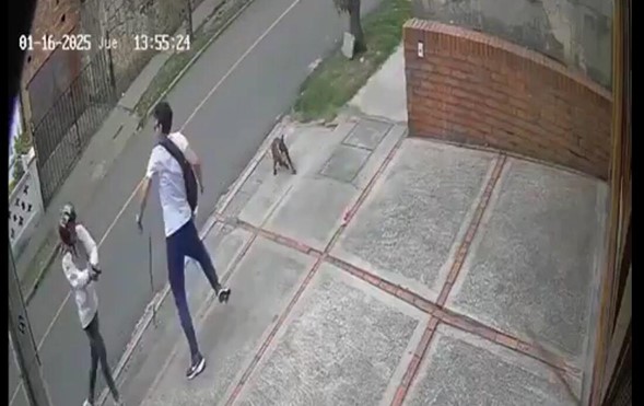 Capturan a tres extranjeros por ataque a abogado