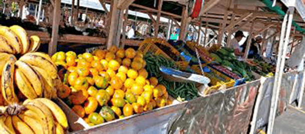 VI Mercado Campesino impulsa economía rural y saberes tradicionales