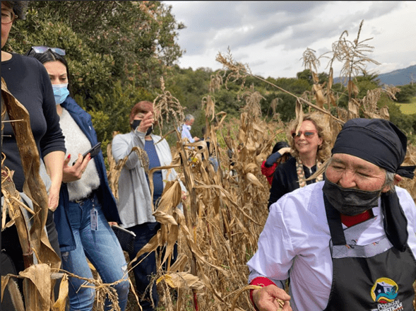 Gachancipá celebra sus raíces en el Museo Campesino