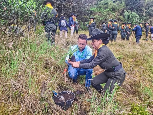 Fómeque se une a jornada de reforestación en el Parque Nacional Natural Chingaza