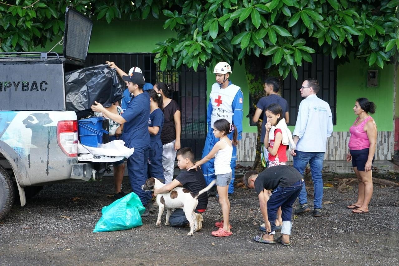 Atención urgente salvó la vida de más de 120 animales tras el sismo en Paratebueno y Medina