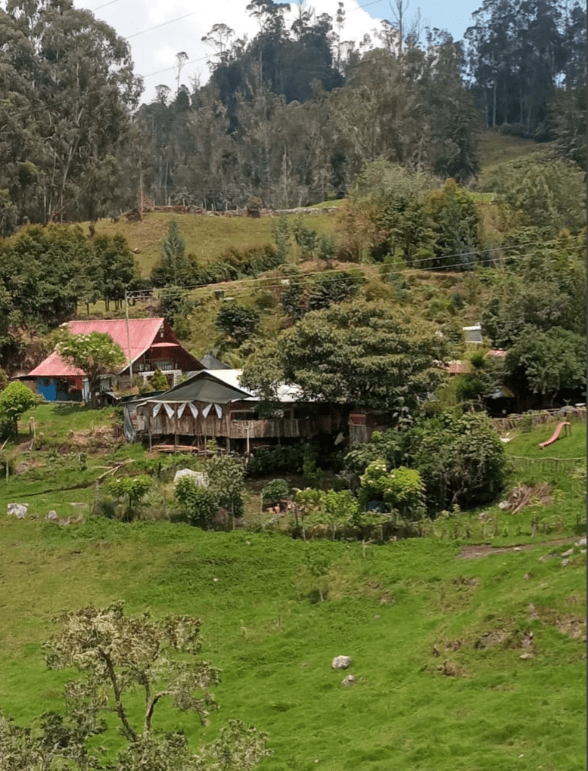 Sumérgete en la Naturaleza y Tradición de Junín con Estancia Chemar